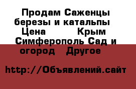  Продам Саженцы березы и катальпы › Цена ­ 500 - Крым, Симферополь Сад и огород » Другое   